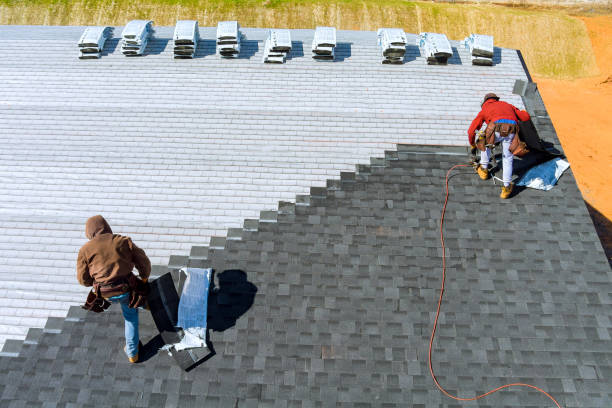 Best Roof Gutter Cleaning  in South Waverly, PA